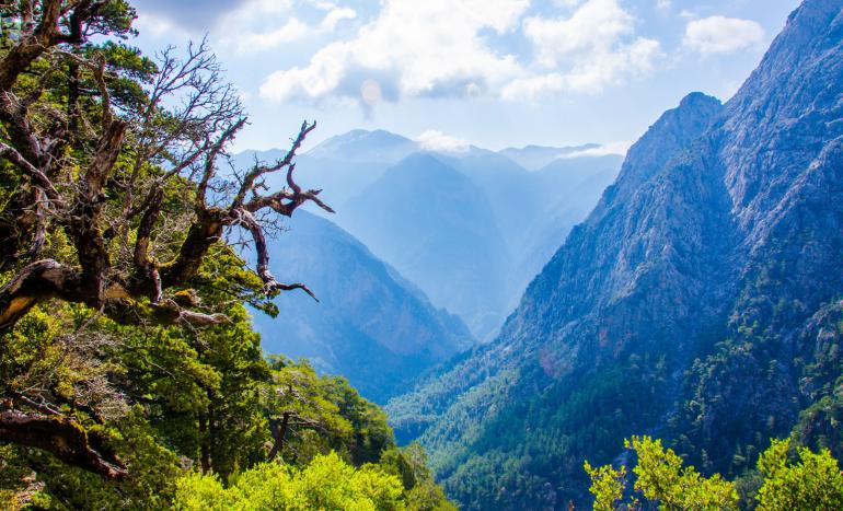 Samaria Canyon